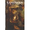 SANDMAN 9