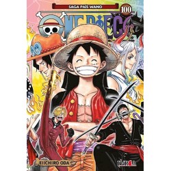 ONE PIECE 100