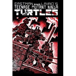 Book Teenage Mutant Ninja Turtles: Mirage Facsimile #1 Variant B Foil (Eastman & Laird)