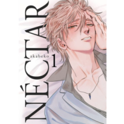 ME ENAMORE DE LA VILLANA 02 (COMIC)