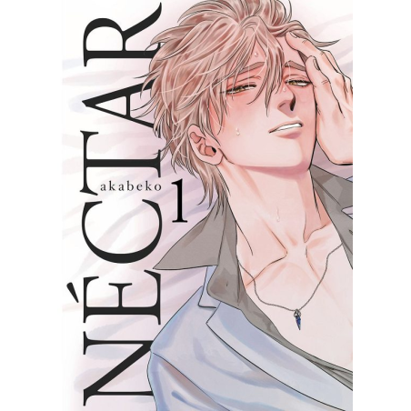 ME ENAMORE DE LA VILLANA 02 (COMIC)