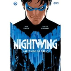 Nightwing: Saltando a la Luz