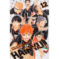HAIKYU!! 12