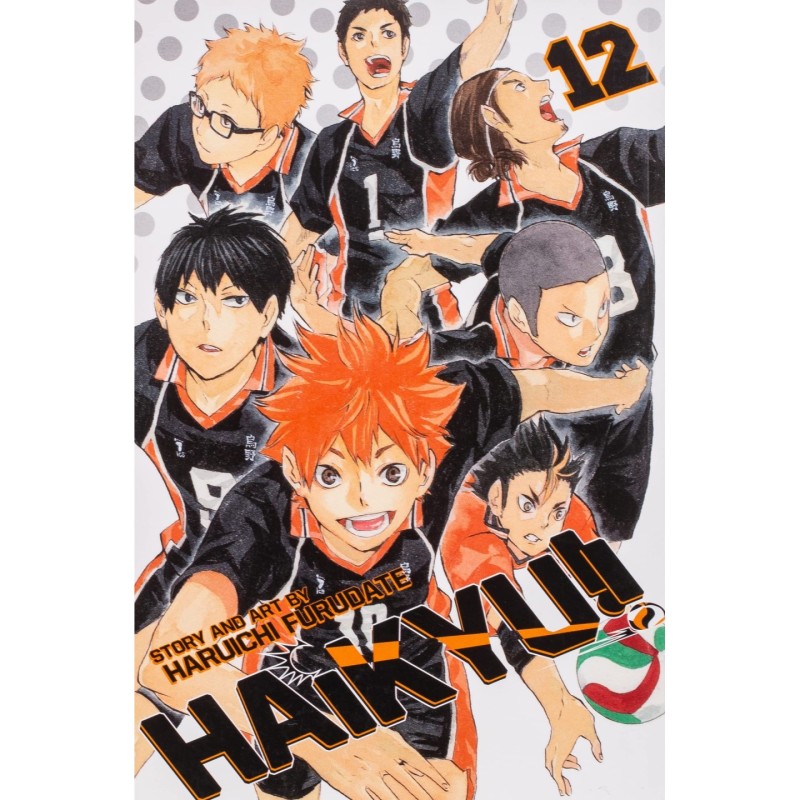 HAIKYU!! 12