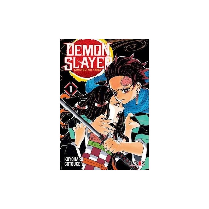 DEMON SLAYER - KIMETSU NO YAIBA 01