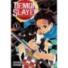 DEMON SLAYER - KIMETSU NO YAIBA 01