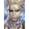 SUN-KEN ROCK 10