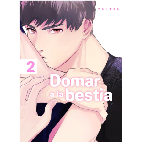 Entender El Cómic