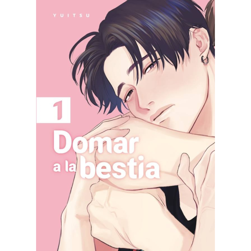 El Héroe (Libro 1)