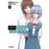 EVANGELION: PROYECTO DE CRIANZA DE SHINJI IKARI 09