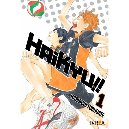 MY HERO ACADEMIA 01