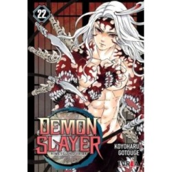 DEMON SLAYER - KIMETSU NO YAIBA 22