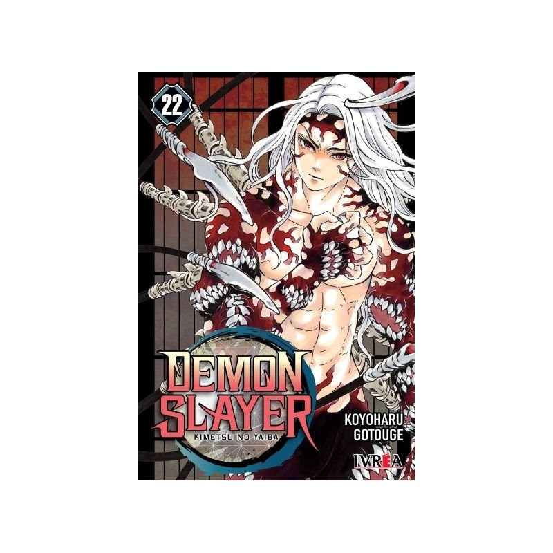 DEMON SLAYER - KIMETSU NO YAIBA 22