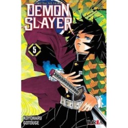 DEMON SLAYER - KIMETSU NO YAIBA 05