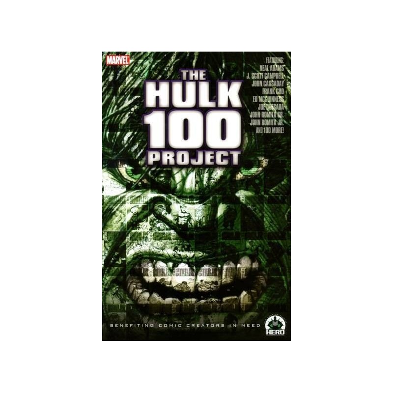 Hulk: 100 Project (HC)