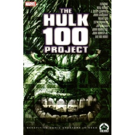 Hulk: 100 Project (HC)