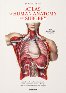 Bourgery. Atlas De Anatomía Humana Y Cirugía