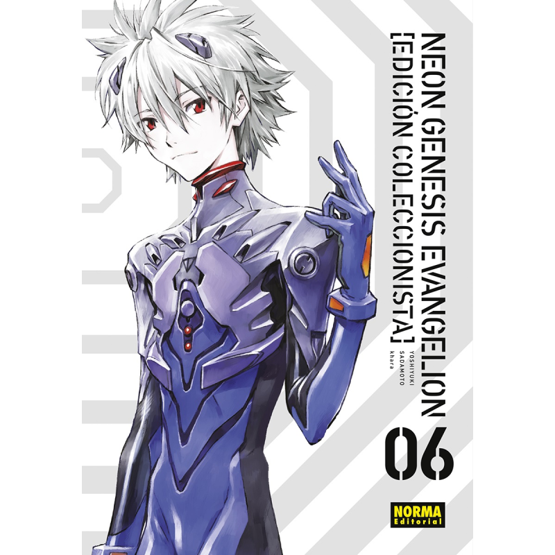 Neon Genesis Evangelion 06 (Ed. Coleccionista)