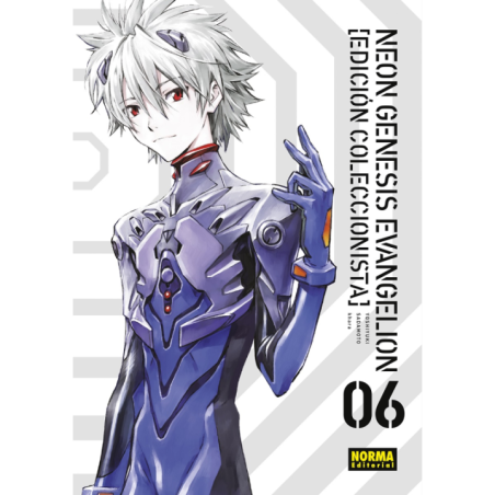 Neon Genesis Evangelion 06 (Ed. Coleccionista)